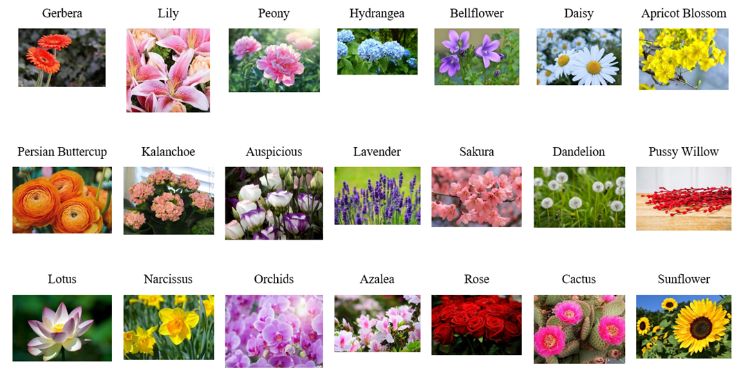 UIT-Flower Dataset